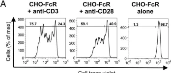 Fig.5.A showing Flow cytometry/Cell sorting from the publication: 1,25(OH)2D3 Promotes the Efficacy of CD28 Costimulation Blockade by Abatacept.