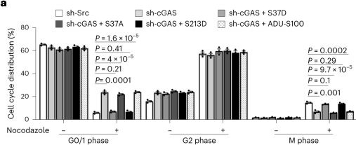 Fig.4.A from the publication: mTORC2-driven chromatin cGAS mediates chemoresistance through epigenetic reprogramming in colorectal cancer.