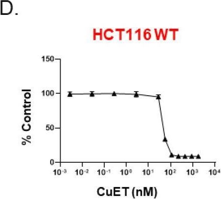 Fig.1.D from the publication: Diethyldithiocarbamate-copper complex ignites the tumor microenvironment through NKG2D-NKG2DL axis.