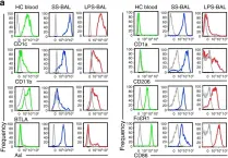 Fig.3.A showing Flow cytometry/Cell sorting in a Homo sapiens (Human) sample from the publication: Lipopolysaccharide inhalation recruits monocytes and dendritic cell subsets to the alveolar airspace.