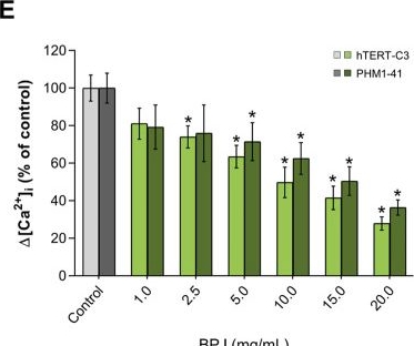 Fig.3.E from the publication: Bryophyllum pinnatum Compounds Inhibit Oxytocin-Induced Signaling Pathways in Human Myometrial Cells.