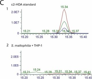 Fig.4.C from the publication: Salmonella exploits a quorum-sensing family signal of the gut commensal Stenotrophomonas maltophilia to facilitate its colonization.