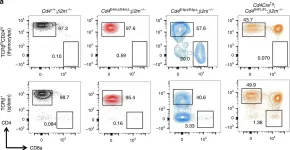 Fig.3.A showing Flow cytometry/Cell sorting from the publication: Stage-specific epigenetic regulation of CD4 expression by coordinated enhancer elements during T cell development.