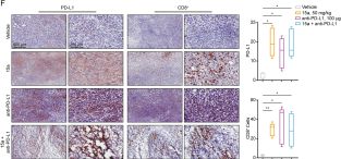PD-L1 (D5V3B) Rabbit mAb | Cell Signaling Technology
