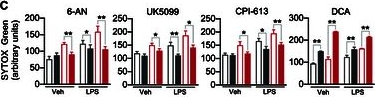 Fig.3.C from the publication: Diabetes Primes Neutrophils for Neutrophil Extracellular Trap Formation through Trained Immunity.