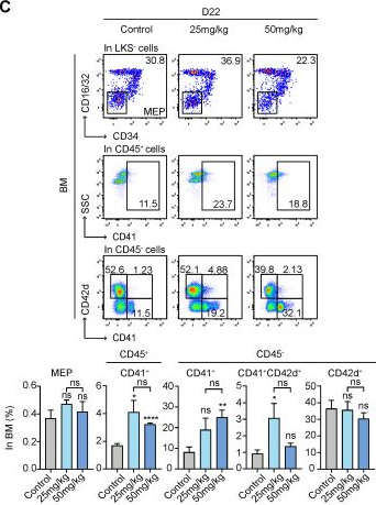 Fig.4.C showing Flow cytometry/Cell sorting in a Mus musculus (House mouse) sample from the publication: MCL-1 Inhibitor S63845 Distinctively Affects Intramedullary and Extramedullary Hematopoiesis.
