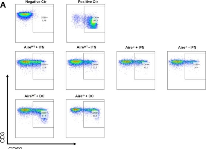 Fig.3.A showing Flow cytometry/Cell sorting in a Mus musculus (House mouse) sample from the publication: The Role of the Autoimmune Regulator Gene in the Control of MHC II Antigen-Processing and Presentation by Medullary Thymic Epithelial Cells.