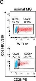 Fig.5.C showing Flow cytometry/Cell sorting in a Mus musculus (House mouse) sample from the publication: CD26-negative and CD26-positive tissue-resident fibroblasts contribute to functionally distinct CAF subpopulations in breast cancer.