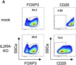 Fig.4.A showing Flow cytometry/Cell sorting from the publication: Fast and Efficient Genome Editing of Human FOXP3+ Regulatory T Cells.