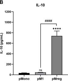 Fig.2.B showing Enzyme-linked immunosorbent assay from the publication: Pig regulatory macrophages as a donor-derived immune modulators in xenotransplantation.