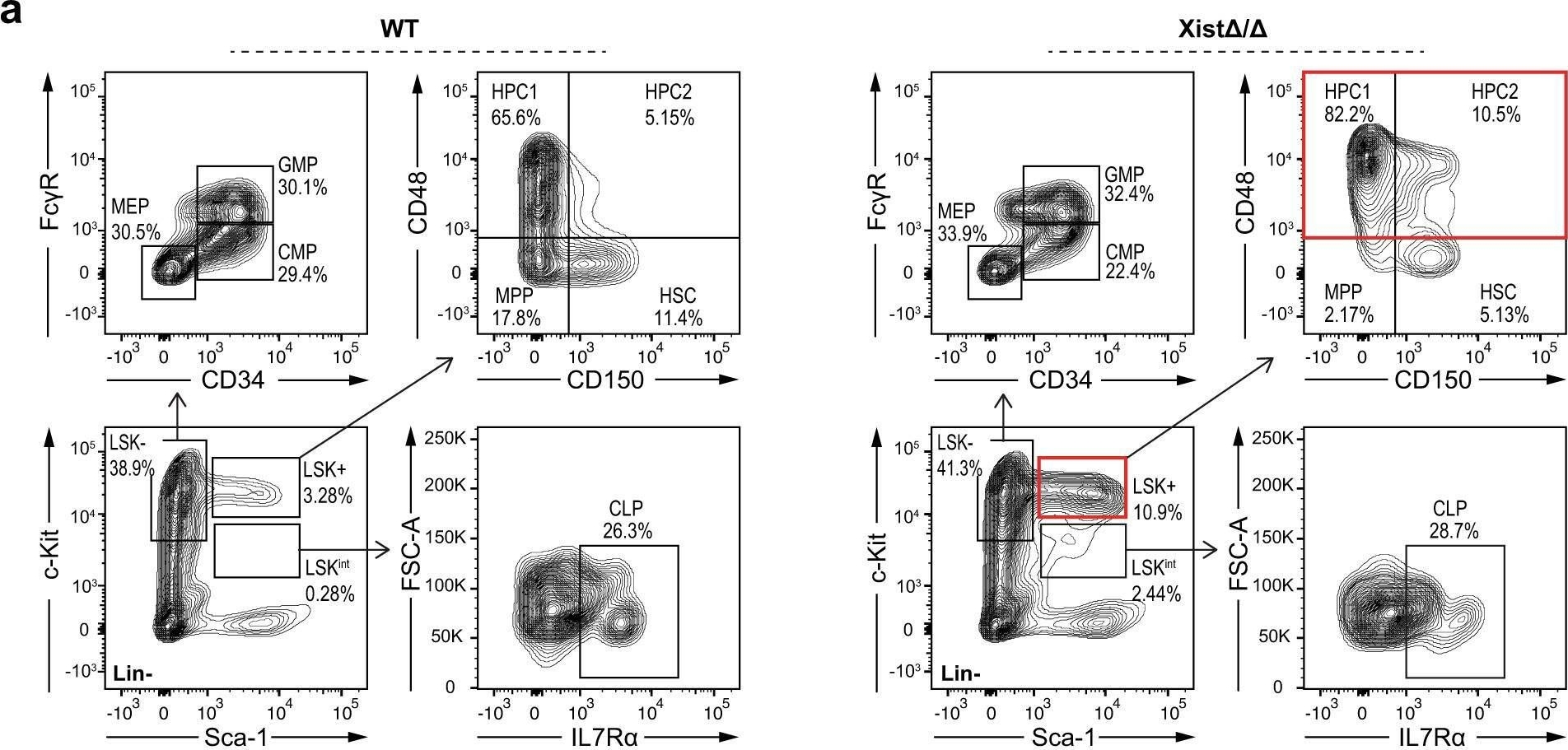 Fig.1.A showing Flow cytometry/Cell sorting from the publication: Xist exerts gene-specific silencing during XCI maintenance and impacts lineage-specific cell differentiation and proliferation during hematopoiesis.
