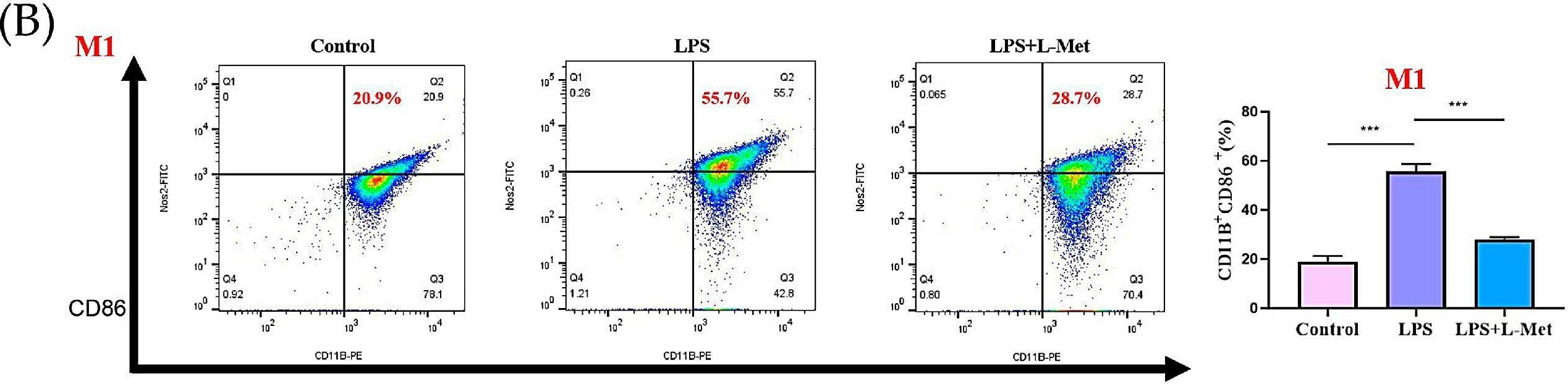 Fig.9.B showing Flow cytometry/Cell sorting in a Mus musculus (House mouse) sample from the publication: Phlorizin Alleviates Depression-like Behaviors via Gut Microbiota Reprogramming-Induced Methionine to Inhibit Neuroinflammation in Mice Hippocampus.