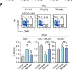 Fig.4.F showing Flow cytometry/Cell sorting in a Mus musculus (House mouse) sample from the publication: MCL-1 Inhibitor S63845 Distinctively Affects Intramedullary and Extramedullary Hematopoiesis.