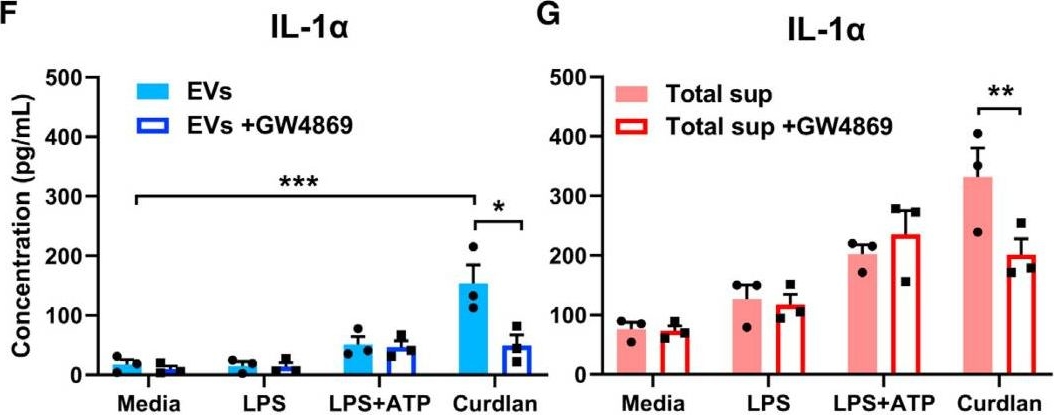 Fig.4.F,G showing Enzyme-linked immunosorbent assay in a Mus musculus (House mouse) sample from the publication: β-Glucan-stimulated neutrophil secretion of IL-1α is independent of GSDMD and mediated through extracellular vesicles.