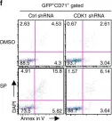 Fig.7.F showing Flow cytometry/Cell sorting in a Mus musculus (House mouse) sample from the publication: P38α/JNK signaling restrains erythropoiesis by suppressing Ezh2-mediated epigenetic silencing of Bim.