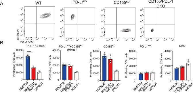 Fig.6.A showing Flow cytometry/Cell sorting in a Homo sapiens (Human) sample from the publication: Enhancing anti-tumor immunity through co-blocking PD-L1 and TIGIT by facilitating tumor-directed responses and additional VEGF inhibition.