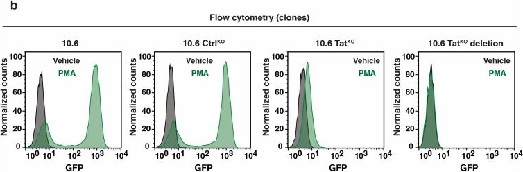 Fig.4.B from the publication: HIV-1 Proviral Genome Engineering with CRISPR-Cas9 for Mechanistic Studies.