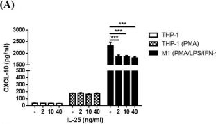 Fig.6.A showing Enzyme-linked immunosorbent assay from the publication: IL-25 Induced ROS-Mediated M2 Macrophage Polarization via AMPK-Associated Mitophagy.