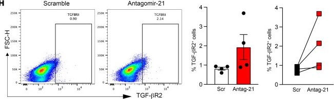 Fig.2.H showing Flow cytometry/Cell sorting from the publication: Silencing miR-21-5p in sensory neurons reverses neuropathic allodynia via activation of TGF-β-related pathway in macrophages.