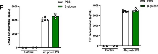 Fig.4.T showing Enzyme-linked immunosorbent assay from the publication: β-Glucan reprograms alveolar macrophages via neutrophil/IFNγ axis in a murine model of lung injury.