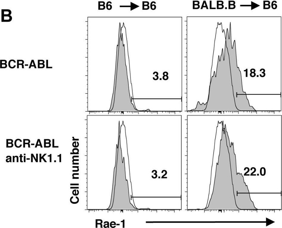 Fig.2.B showing Flow cytometry/Cell sorting in a Mus musculus (House mouse) sample from the publication: Natural killer cell mediated missing-self recognition can protect mice from primary chronic myeloid leukemia in vivo.