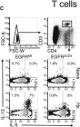 Fig.2.C showing Flow cytometry/Cell sorting in a Mus musculus (House mouse) sample from the publication: Epidermal Growth Factor Receptor Expression Licenses Type-2 Helper T Cells to Function in a T Cell Receptor-Independent Fashion.