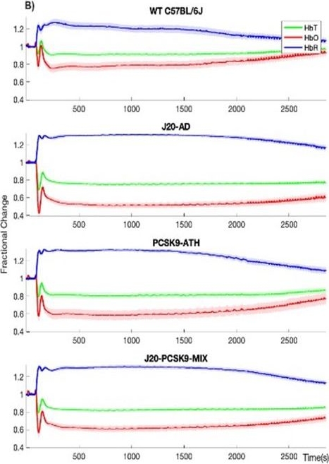 Fig.3.B from the publication: Assessment of neurovascular coupling and cortical spreading depression in mixed mouse models of atherosclerosis and Alzheimer's disease.