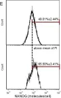Fig.4.E showing Flow cytometry/Cell sorting from the publication: Contribution of stochastic partitioning at human embryonic stem cell division to NANOG heterogeneity.
