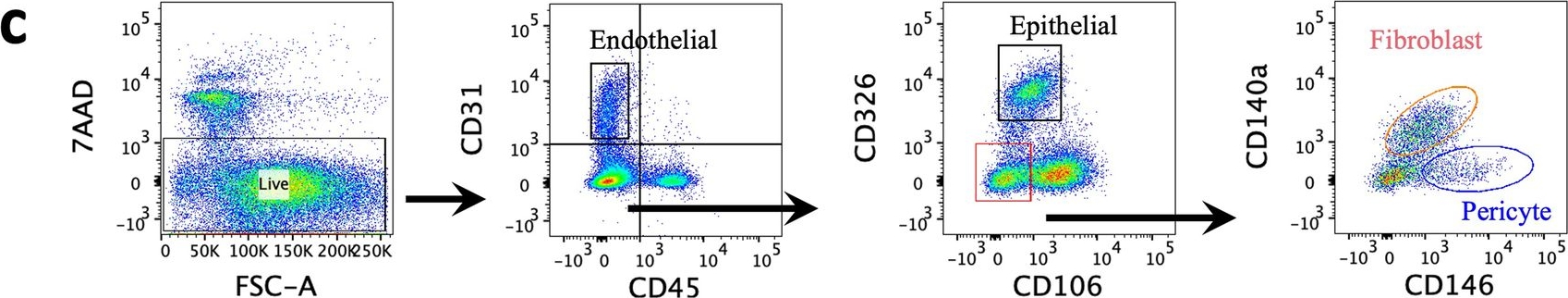 Fig.7.C showing Flow cytometry/Cell sorting in a Mus musculus (House mouse) sample from the publication: Identification of endothelial and mesenchymal FOXF1 enhancers involved in alveolar capillary dysplasia.