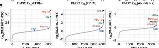 Fig.5.B from the publication: Discovery of a Novel DNMT1 Inhibitor with Improved Efficacy in Treating β-Thalassemia.