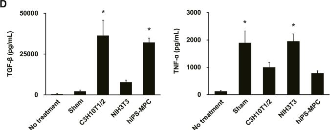 Fig.5.D showing Enzyme-linked immunosorbent assay from the publication: Human iPSC-derived mesenchymal progenitor cell sheets promote tissue formation after xenotransplantation.