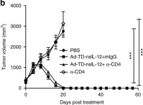 Fig.7.B showing Flow cytometry/Cell sorting from the publication: Re-designing Interleukin-12 to enhance its safety and potential as an anti-tumor immunotherapeutic agent.