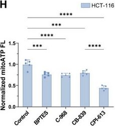 Fig.5.H from the publication: Single-Mitochondrion ATP Profiling Directs Discovery of Targetable OXPHOS Dependency in Cancers.