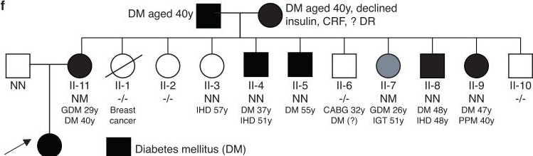 Fig.1.F from the publication: PAX4 loss of function increases diabetes risk by altering human pancreatic endocrine cell development.