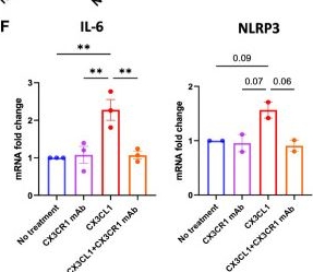 Fig.5.F from the publication: The CX3CL1-CX3CR1 chemokine axis can contribute to tumor immune evasion and blockade with a novel CX3CR1 monoclonal antibody enhances response to anti-PD-1 immunotherapy.