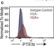 Fig.5.C showing Flow cytometry/Cell sorting from the publication: Histone H2A-Reactive B Cells Are Functionally Anergic in Healthy Mice With Potential to Provide Humoral Protection Against HIV-1.