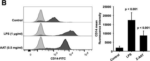 Fig.4.B showing Flow cytometry/Cell sorting in a Homo sapiens (Human) sample from the publication: Polymerization of misfolded Z alpha-1 antitrypsin protein lowers CX3CR1 expression in human PBMCs.