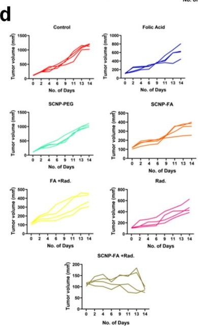 Fig.7.D from the publication: Radiocleavable rare-earth nanoactivators targeting over-expressed folate receptors induce mitochondrial dysfunction and remodel immune suppressive microenvironment in pancreatic cancer.