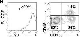 Fig.1.H showing Flow cytometry/Cell sorting in a Homo sapiens (Human) sample from the publication: Cooperative Transcription Factor Induction Mediates Hemogenic Reprogramming.