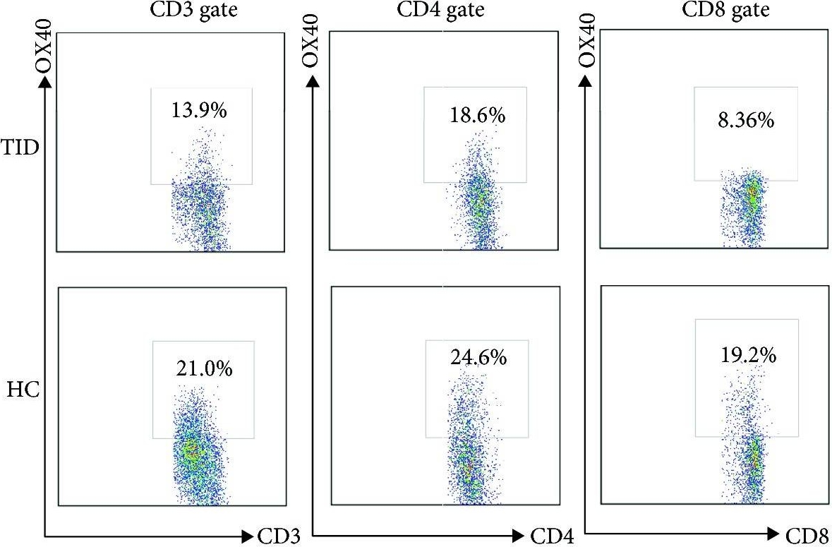 Fig.1.A showing Flow cytometry/Cell sorting in a Homo sapiens (Human) sample from the publication: Enhancement of the Soluble Form of OX40 and OX40L Costimulatory Molecules but Reduction of the Membrane Form in Type 1 Diabetes (T1D).