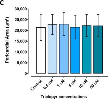 Fig.4.C from the publication: Embryotoxicity Induced by Triclopyr in Zebrafish (Danio rerio) Early Life Stage.