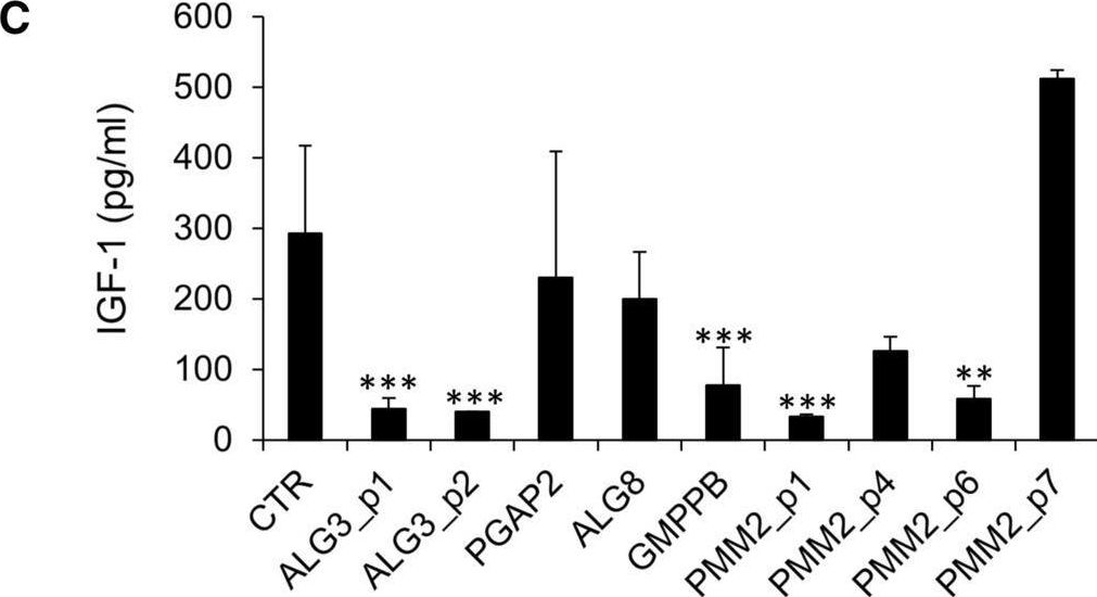 Fig.1.C showing Enzyme-linked immunosorbent assay from the publication: Defective IGF-1 prohormone N-glycosylation and reduced IGF-1 receptor signaling activation in congenital disorders of glycosylation.