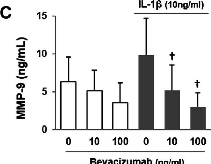 Fig.1.C showing Enzyme-linked immunosorbent assay from the publication: Bevacizumab suppressed degenerative changes in articular cartilage explants from patients with osteoarthritis of the knee.