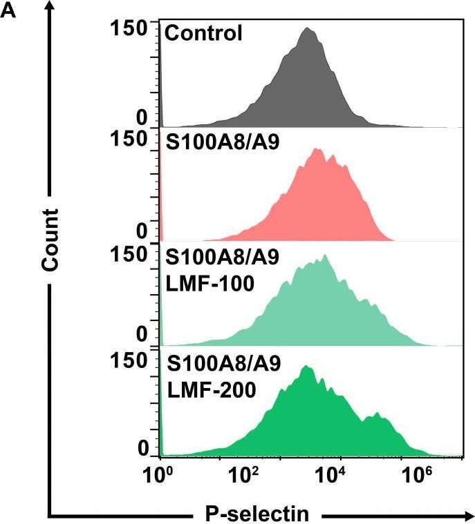 Fig.3.A showing Flow cytometry/Cell sorting from the publication: Low-Molecular-Weight Fucoidan Inhibits Thromboinflammation and Ameliorates Deep Vein Thrombosis via Targeting S100A8/A9.