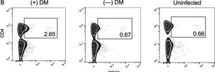 Fig.4.B showing Flow cytometry/Cell sorting from the publication: Mixed T Helper1/T Helper2/T Cytotoxic Profile in Subjects with Chronic Chagas Disease with Hypersensitivity Reactions to Benznidazole.