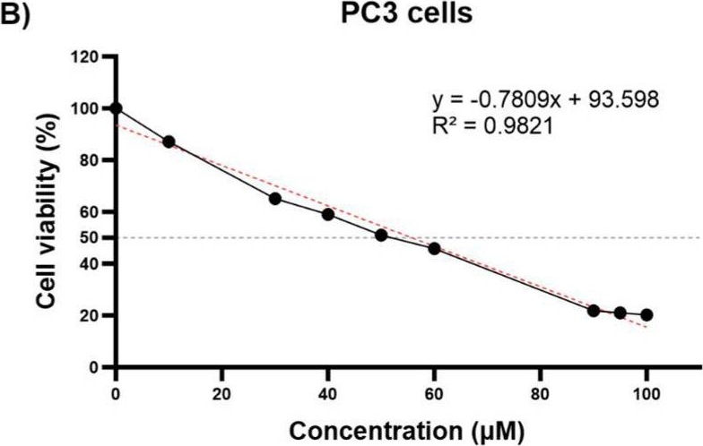 Fig.1.B from the publication: Thymoquinone Potentially Modulates the Expression of Key Onco- and Tumor Suppressor miRNAs in Prostate and Colon Cancer Cell Lines: Insights from PC3 and HCT-15 Cells.