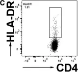 Fig.1.C showing Flow cytometry/Cell sorting in a Homo sapiens (Human) sample from the publication: Circulating T cell subsets are altered in individuals with chronic spinal cord injury.