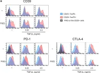 Fig.7.B showing Flow cytometry/Cell sorting in a Homo sapiens (Human) sample from the publication: Prostaglandin E2 Antagonizes TGF-β Actions During the Differentiation of Monocytes Into Dendritic Cells.