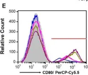 Fig.5.E showing Flow cytometry/Cell sorting in a Mus musculus (House mouse) sample from the publication: Chronic High-Salt Diet Activates Tumor-Initiating Stem Cells Leading to Breast Cancer Proliferation.
