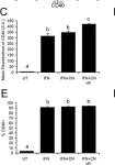 Fig.5.C,E showing Flow cytometry/Cell sorting in a Mus musculus (House mouse) sample from the publication: Ciliary neurotrophic factor (CNTF) plus soluble CNTF receptor alpha increases cyclooxygenase-2 expression, PGE2 release and interferon-gamma-induced CD40 in murine microglia.